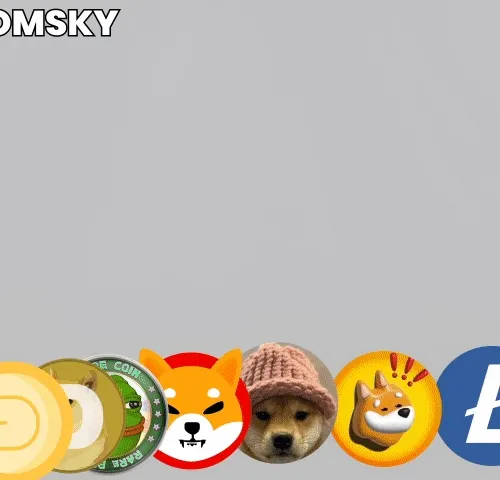 POMSKY BLAST BEST DOG