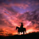 Cowboy on Blast