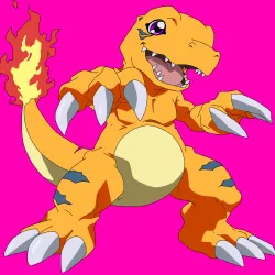 202