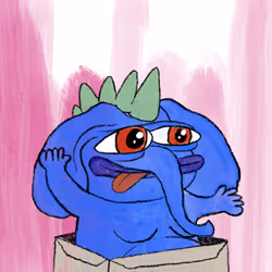 81