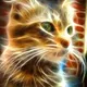 Solar Cat