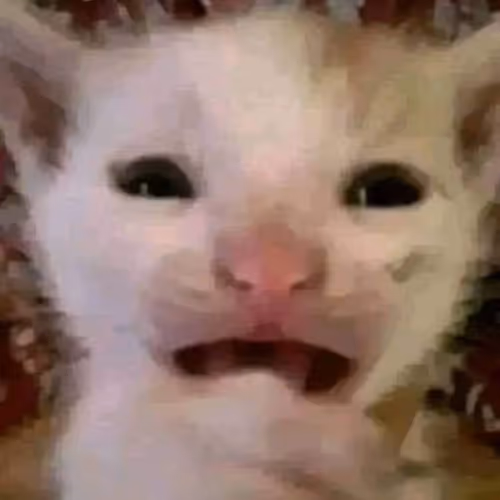 Catcrying