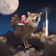 TEST12323
