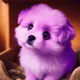 A Degen's Puppy