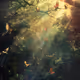 Chill forest 2