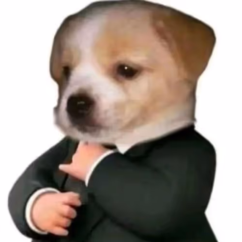 POVIDLO