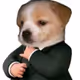 POVIDLO