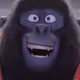 Zveroboi