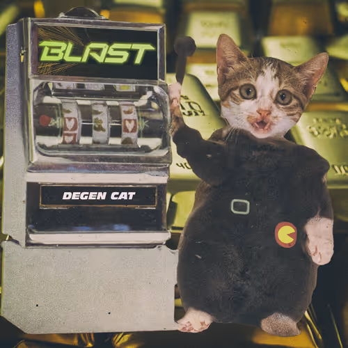 Degen Cat
