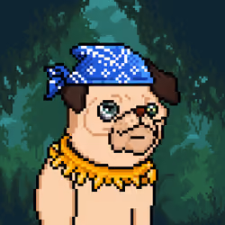 BlastPugs #2866