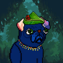 BlastPugs #977