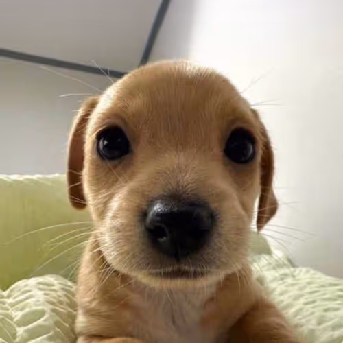 Billy