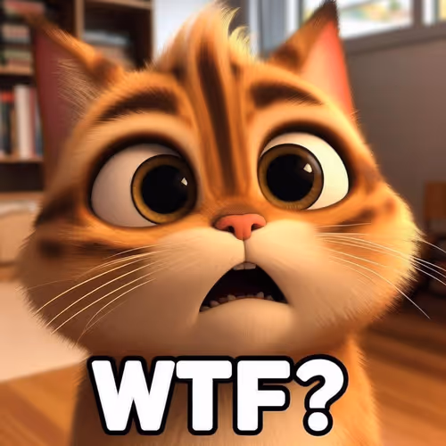WTF cat