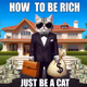 Be cat Be Rich