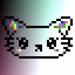 554