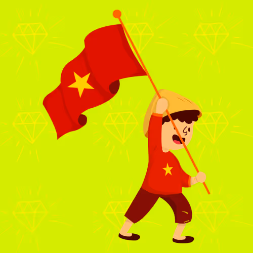 VN.D1