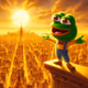 The Richest Frog in the World