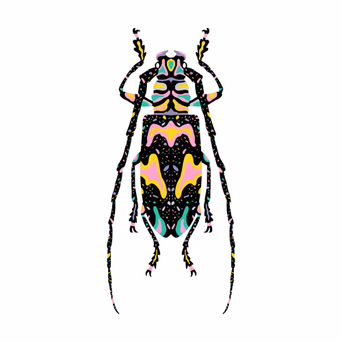 11/111BUGS #2