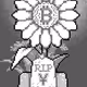 BTC Flower