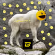 blastgoat