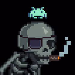 Hacked Skulls #143
