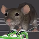 ratwifdunk