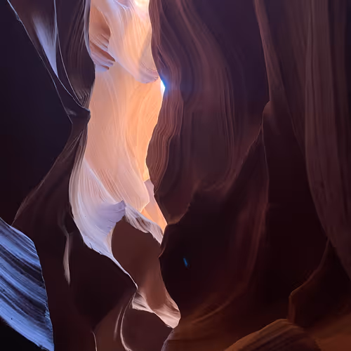 Free Gold chance & photography