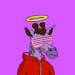 项目媒体占位符