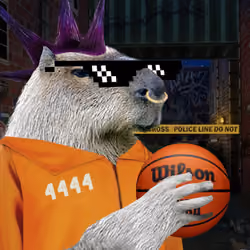 #307 Capybara Gang