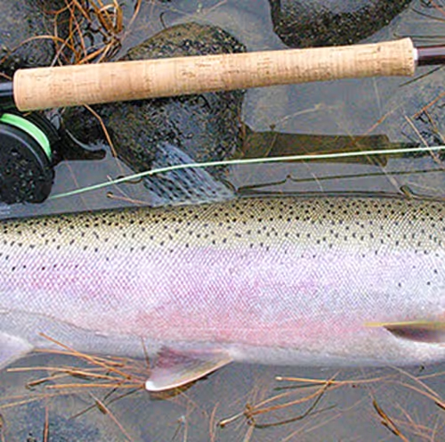 fishing #3