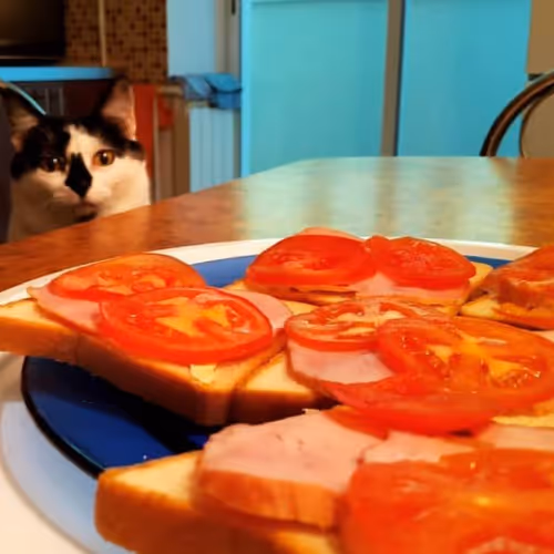 pomodoro
