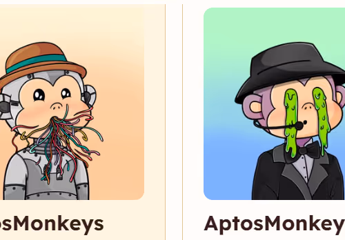 aptos monkey