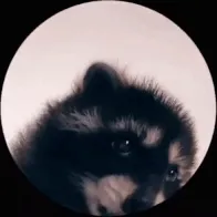 Pedro