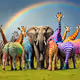 Rainbow