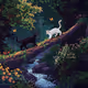 cats in a clearing in the forest