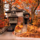 Autumn house