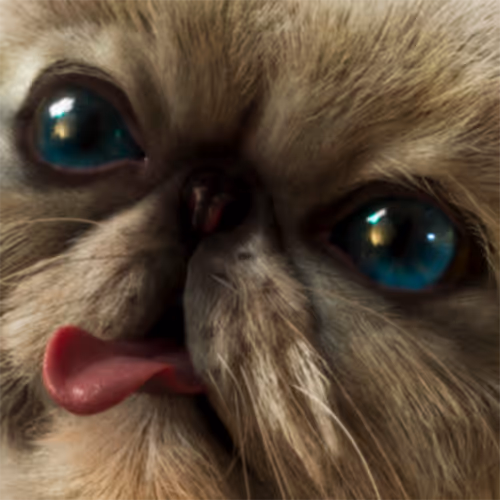 monetizing mr miggles