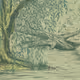 willow tree