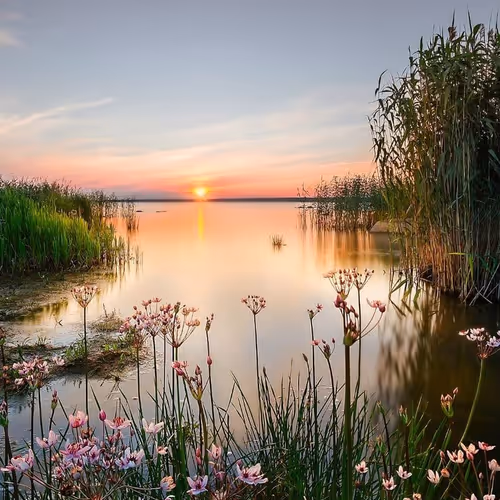 Lake Peipus