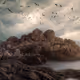 rocks