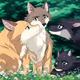 family of wolves