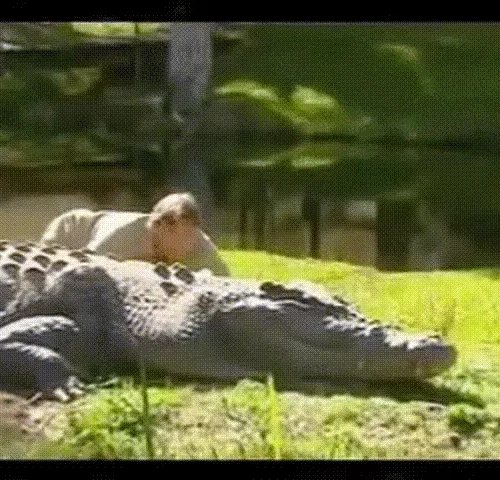 vvv