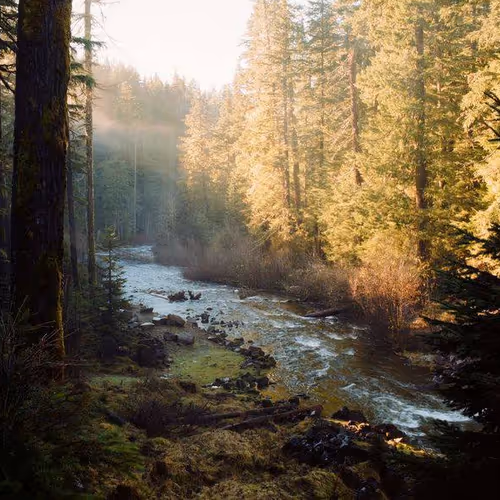 stream