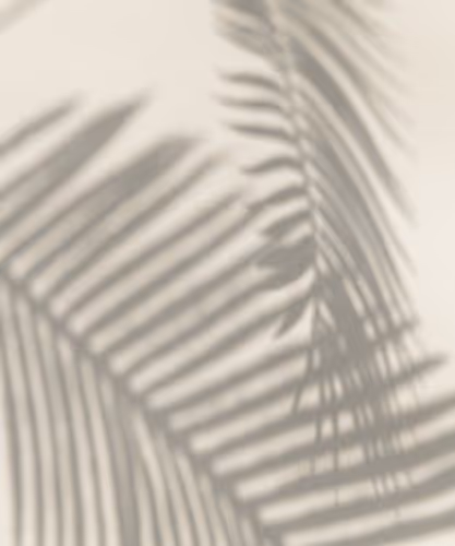 ShadowPay