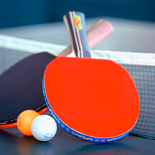 Tennis de table, proA