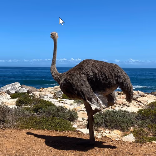 EMU