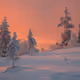 snowy trees