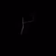 I|I|