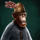 The_Ape_Society