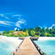 -Paradise-